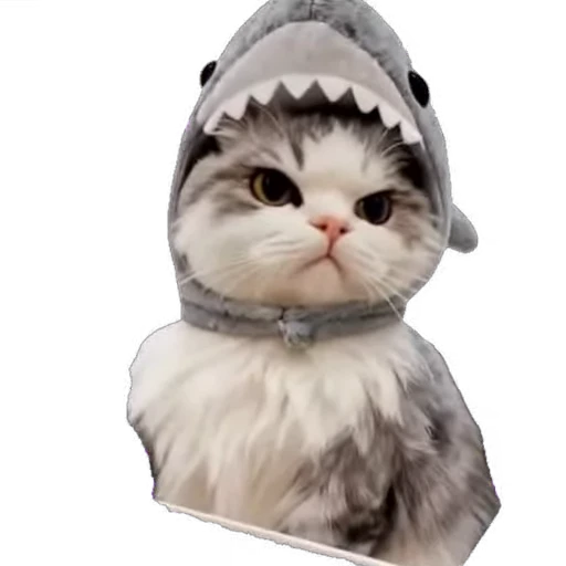 🐱 Стикер «мур мур» для Telegram