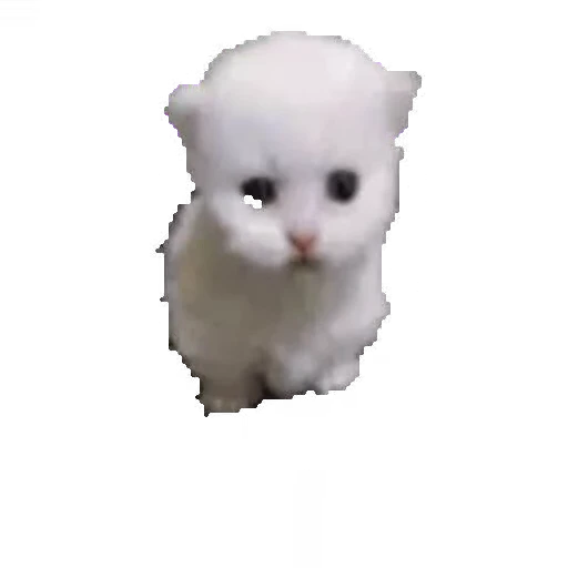 🥺 Стикер «мур мур» для Telegram