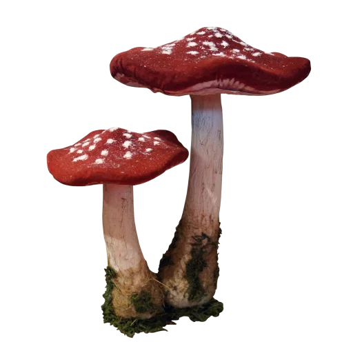 🍄 Стикер «Грибной pack» для Telegram