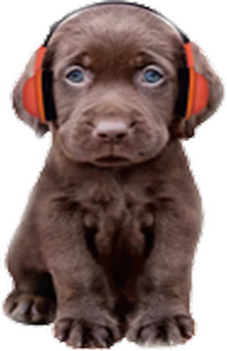 Стикерпак Music Animals для Telegram