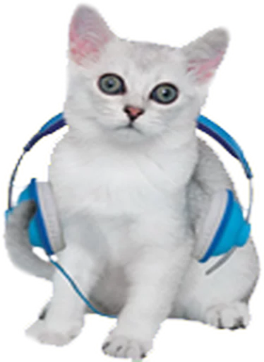 🎧 Стикер «Music Animals» для Telegram