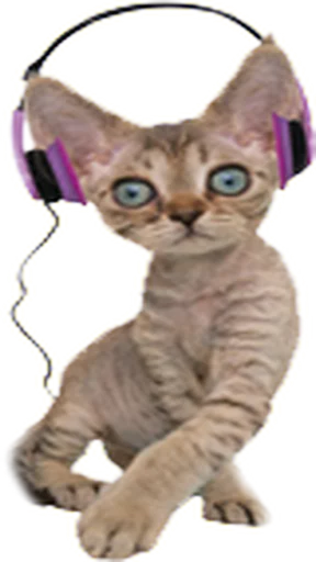 🎧 Стикер «Music Animals» для Telegram