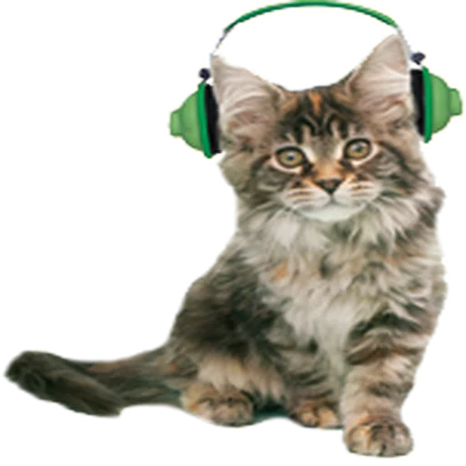 🎧 Стикер «Music Animals» для Telegram