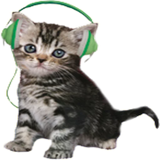 🎧 Стикер «Music Animals» для Telegram