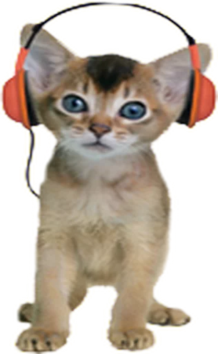 🎧 Стикер «Music Animals» для Telegram