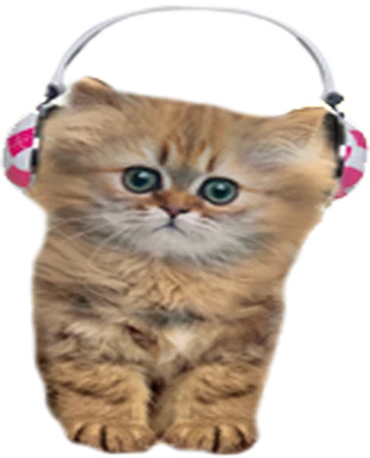🎧 Стикер «Music Animals» для Telegram