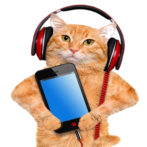 🎧 Стикер «Music Animals» для Telegram