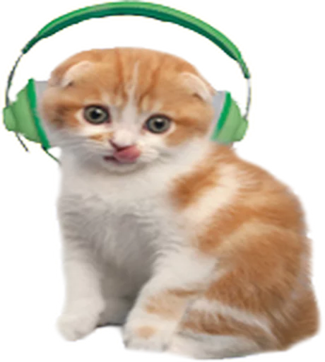 🎧 Стикер «Music Animals» для Telegram