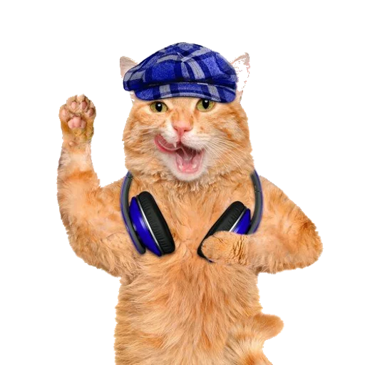 🎧 Стикер «Music Animals» для Telegram