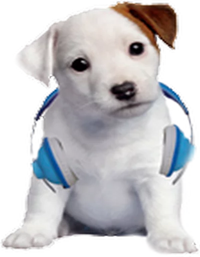 🎧 Стикер «Music Animals» для Telegram