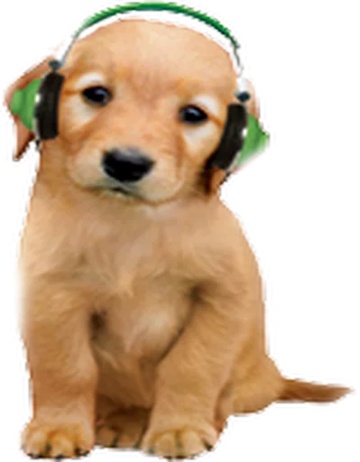 🎧 Стикер «Music Animals» для Telegram