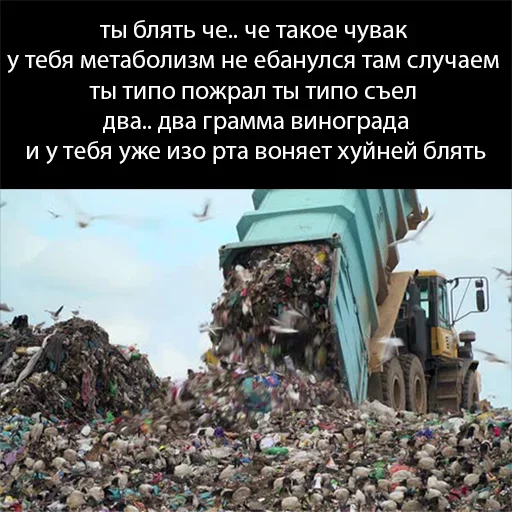 😱 Стикер «Мусоровоз что ли» для Telegram