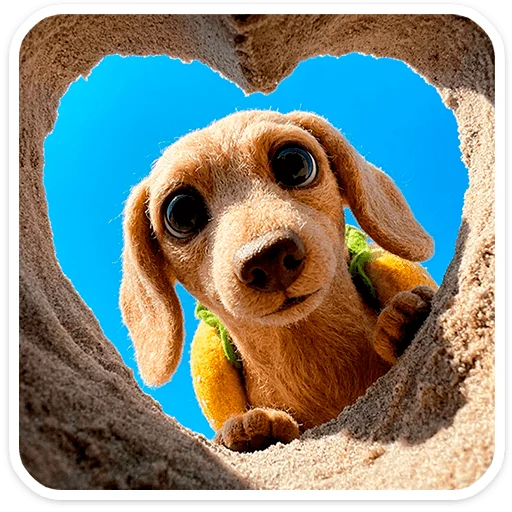🐶 Стикер «Горчуня» для Telegram