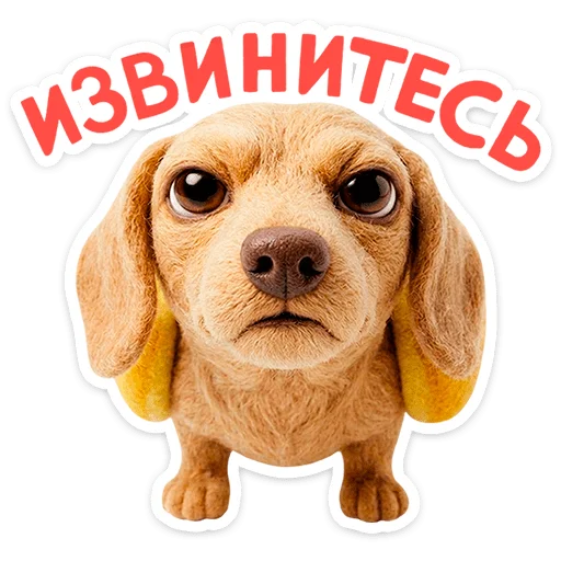 🐶 Стикер «Горчуня» для Telegram