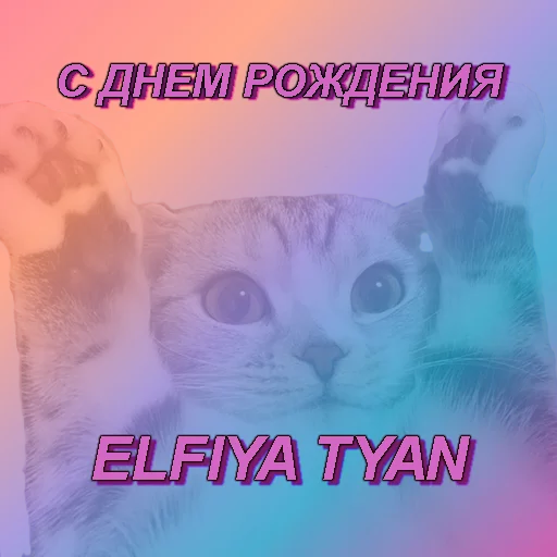 🎂 Стикер «muwa стикерпак» для Telegram