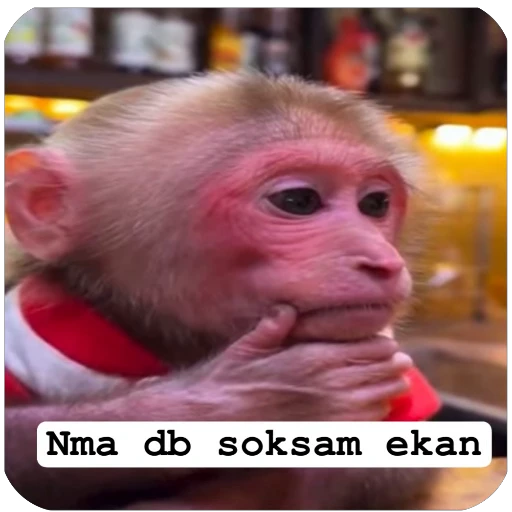 🤔 Стикер «Muxammed 0» для Telegram