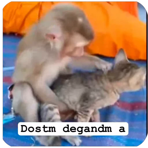 🌏 Стикер «Muxammed 0» для Telegram