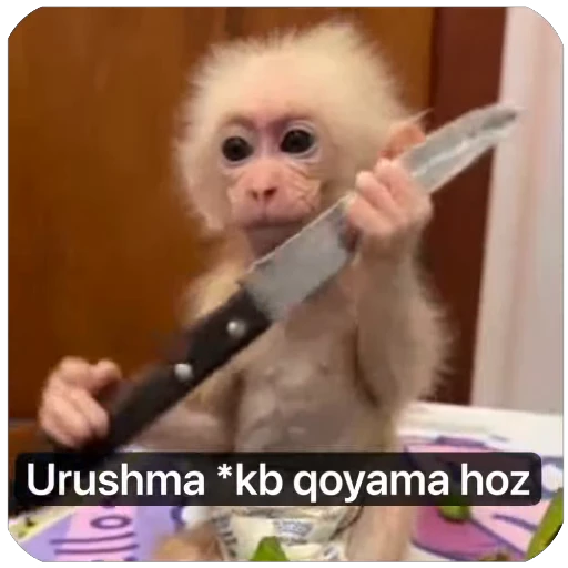 👿 Стикер «Muxammed 0» для Telegram