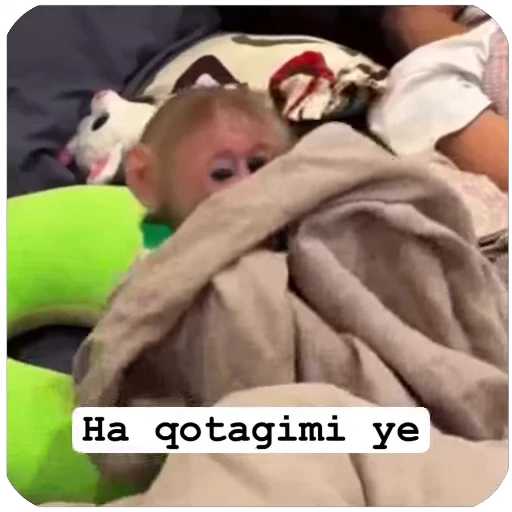 🛌 Стикер «Muxammed 0» для Telegram