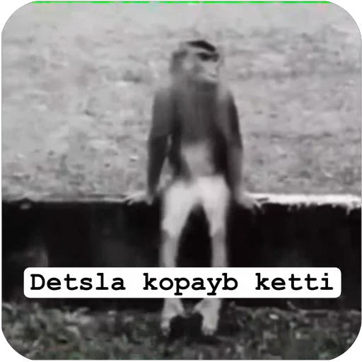 🌟 Стикер «Muxammed 0» для Telegram