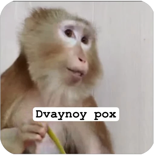 🌟 Стикер «Muxammed 0» для Telegram