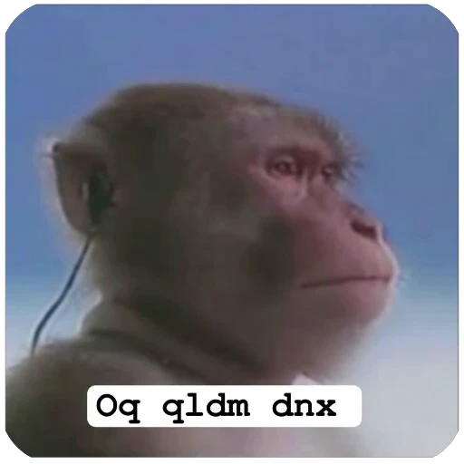 🤩 Стикер «Muxammed 0» для Telegram