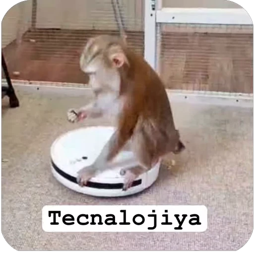 🤩 Стикер «Muxammed 0» для Telegram