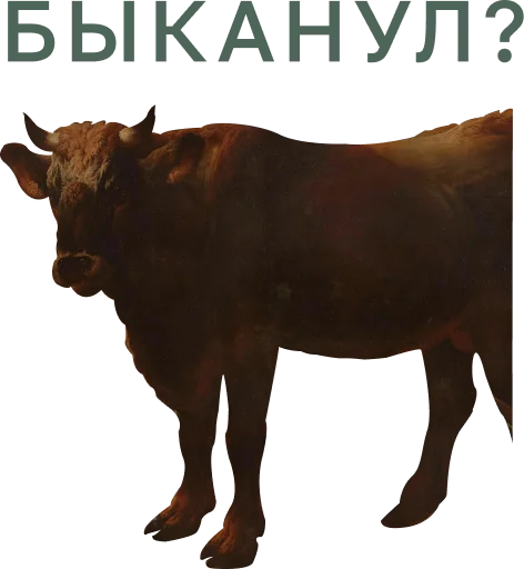 🫵 Стикер «Muzey Izo» для Telegram