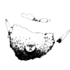 🧛 Эмодзи «my 65 04 9» для Telegram