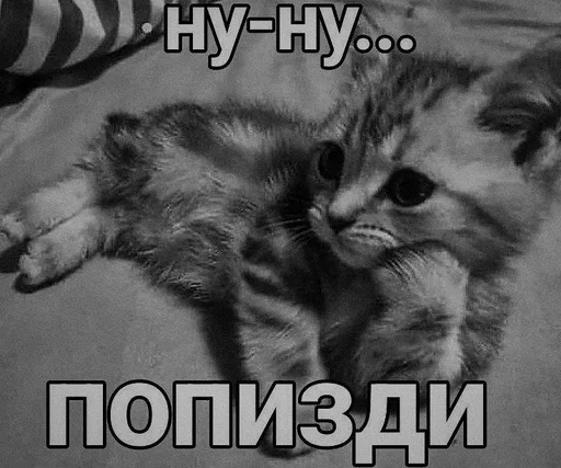 🌟 Стикер «ÐÐ¾ÑÐ¸ÐºÐ¸» для Telegram