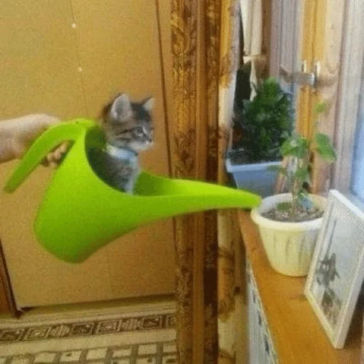 💧 Стикер «ÐÐ¾ÑÐ¸ÐºÐ¸» для Telegram