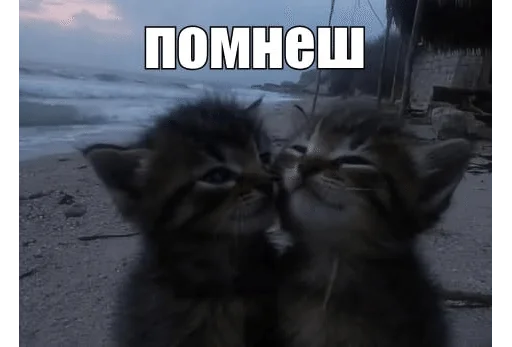 ❤️ Стикер «ÐÐ¾ÑÐ¸ÐºÐ¸» для Telegram