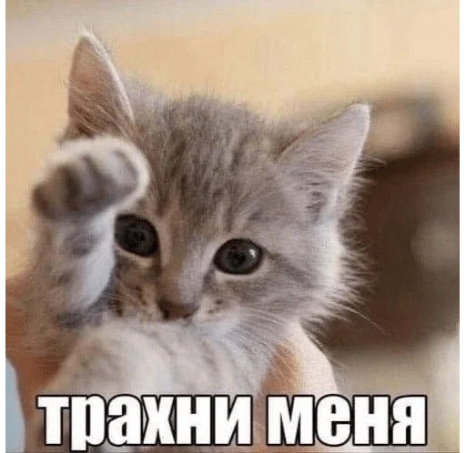 🍓 Стикер «ÐÐ¾ÑÐ¸ÐºÐ¸» для Telegram