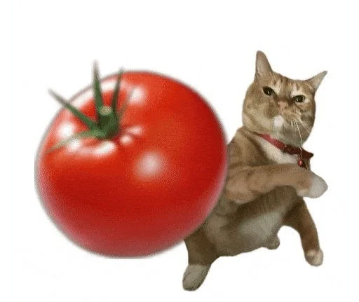 🍅 Стикер «ÐÐ¾ÑÐ¸ÐºÐ¸» для Telegram