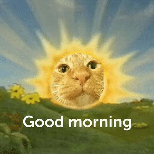 ☀️ Стикер «ÐÐ¾ÑÐ¸ÐºÐ¸» для Telegram