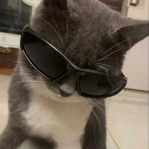 😎 Стикер «ÐÐ¾ÑÐ¸ÐºÐ¸» для Telegram