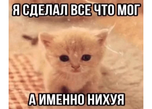 🌟 Стикер «ÐÐ¾ÑÐ¸ÐºÐ¸» для Telegram