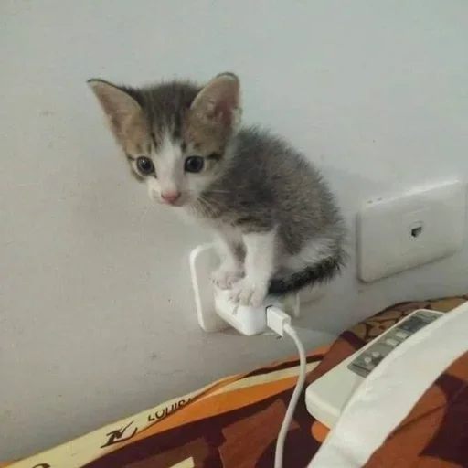 ⚡ Стикер «ÐÐ¾ÑÐ¸ÐºÐ¸» для Telegram