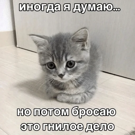 🤯 Стикер «ÐÐ¾ÑÐ¸ÐºÐ¸» для Telegram
