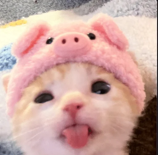 😝 Стикер «ÐÐ¾ÑÐ¸ÐºÐ¸» для Telegram