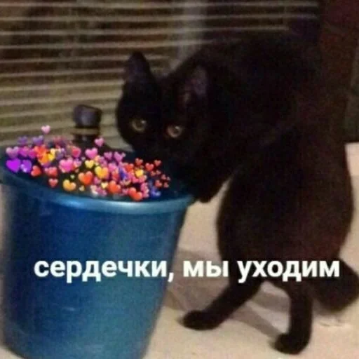 💔 Стикер «Мемасики» для Telegram
