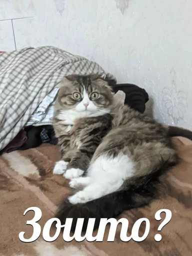 🤔 Стикер «Мемасики» для Telegram