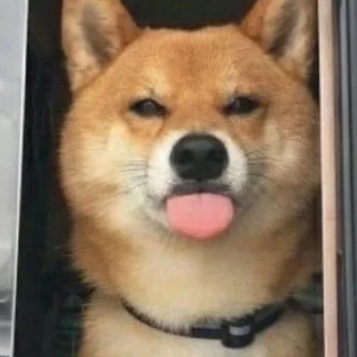 😛 Стикер «Мемасики» для Telegram