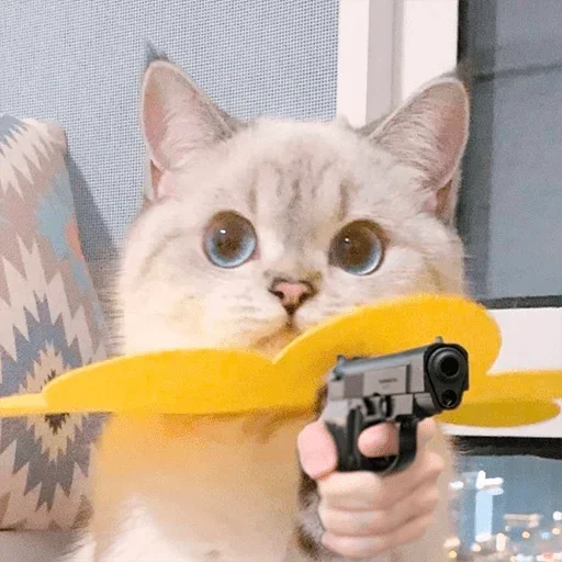 😡 Стикер «Мемасики» для Telegram