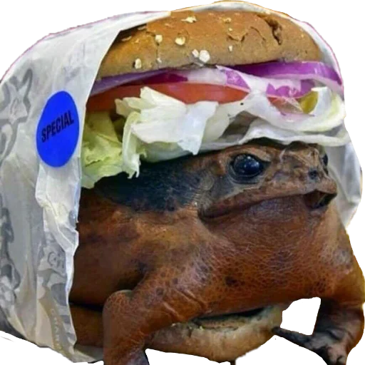🍔 Стикер «жабки!!» для Telegram