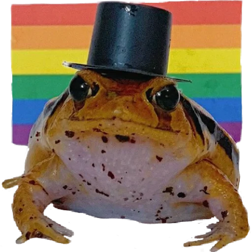 🏳‍🌈 Стикер «жабки!!» для Telegram