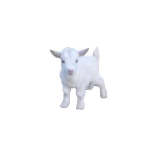 Стикерпак my aesthetic//;;напишу в октябре для Telegram