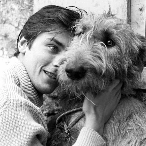 🫂 Стикер «Alain Delon» для Telegram