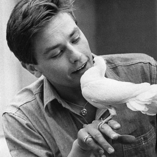 🕊 Стикер «Alain Delon» для Telegram