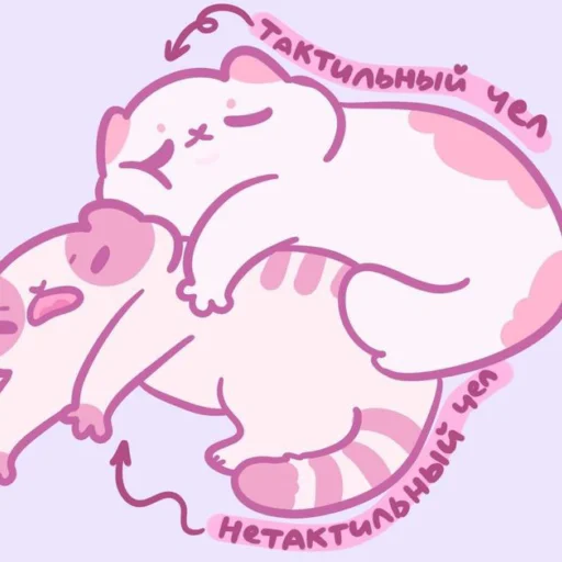 💗 Стикер «Котики&;Мяв» для Telegram